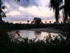 Selous Impala Camp - View